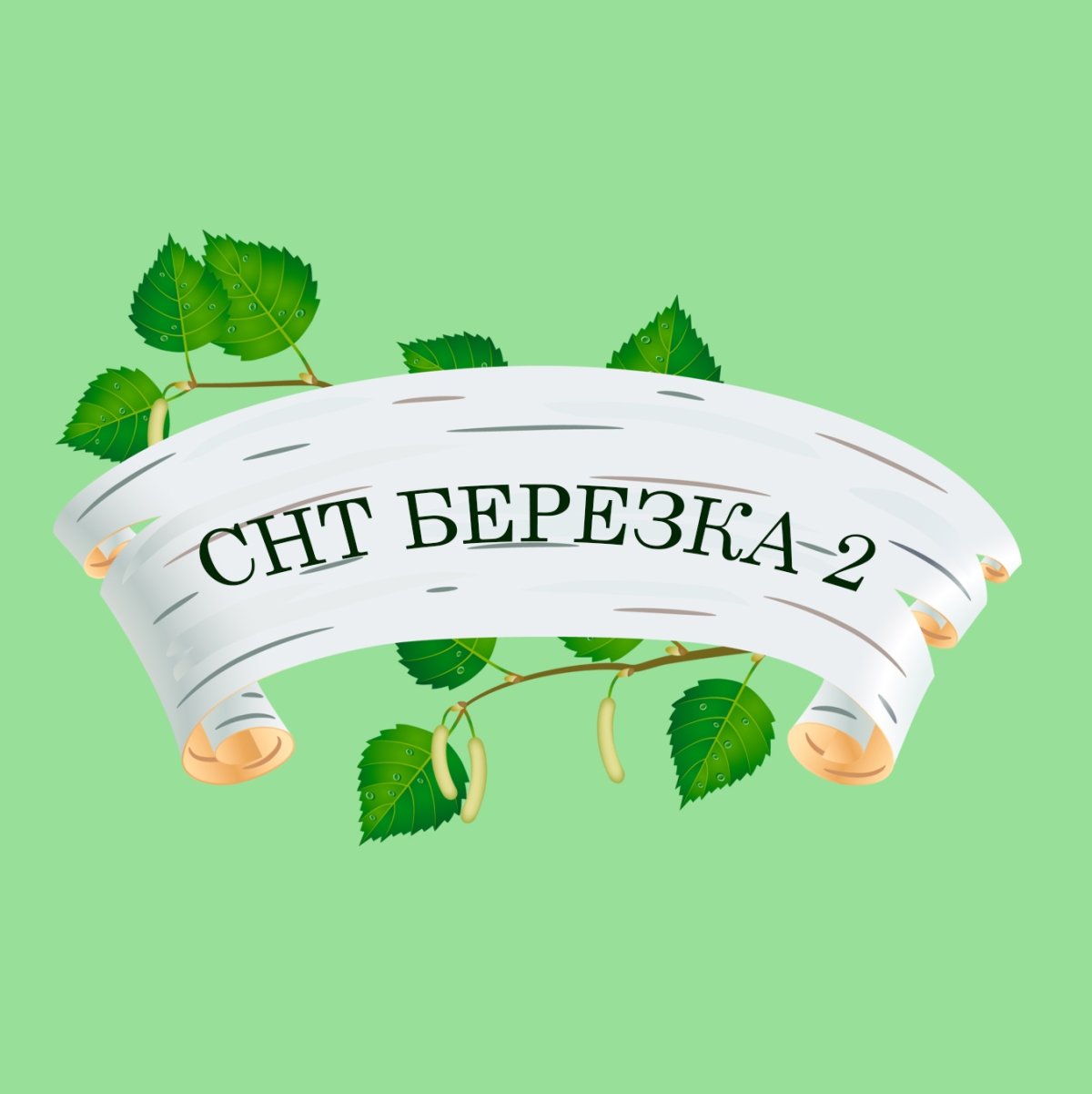 СНТ берёзка логотип