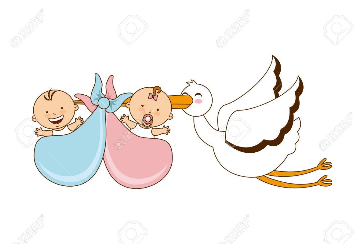 Аист с двойняшками