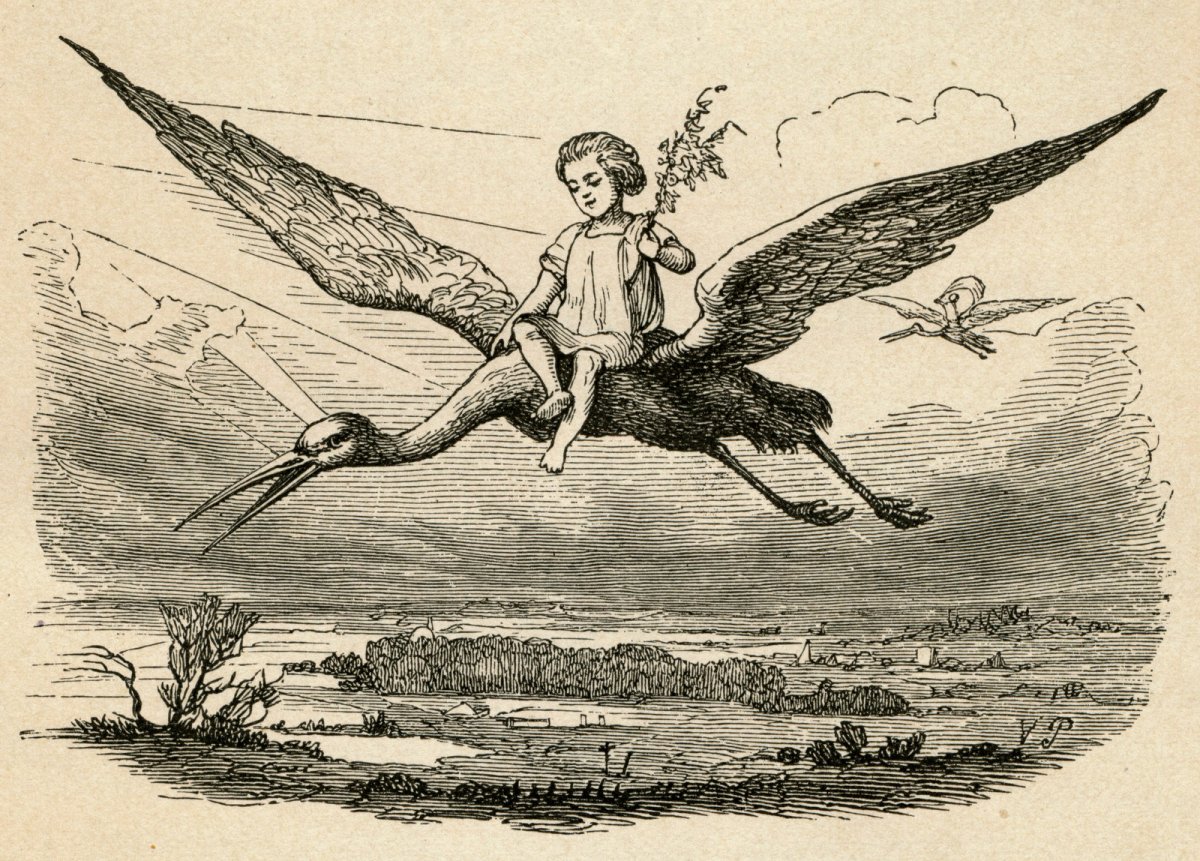 Андерсен ель книга