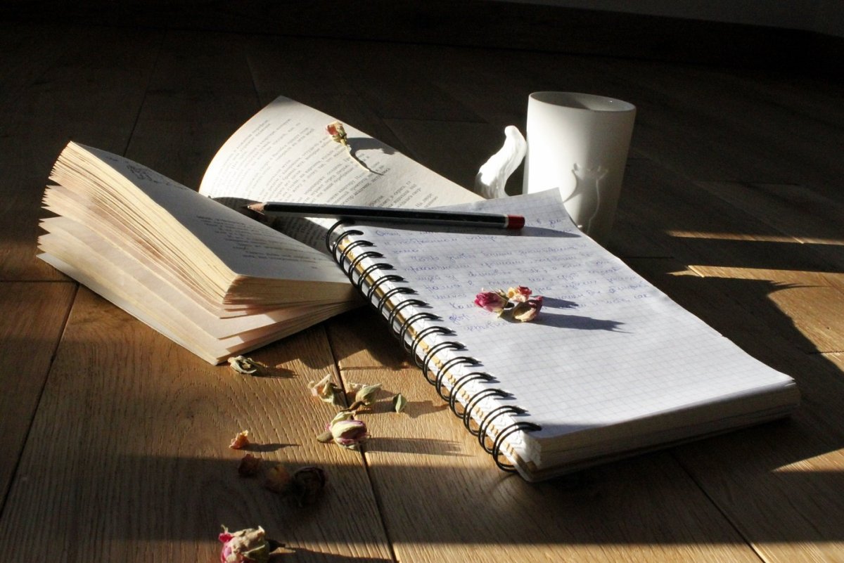 Блокнот писателя