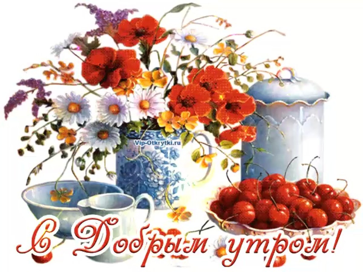 Доброе августовское утро и хорошего дня