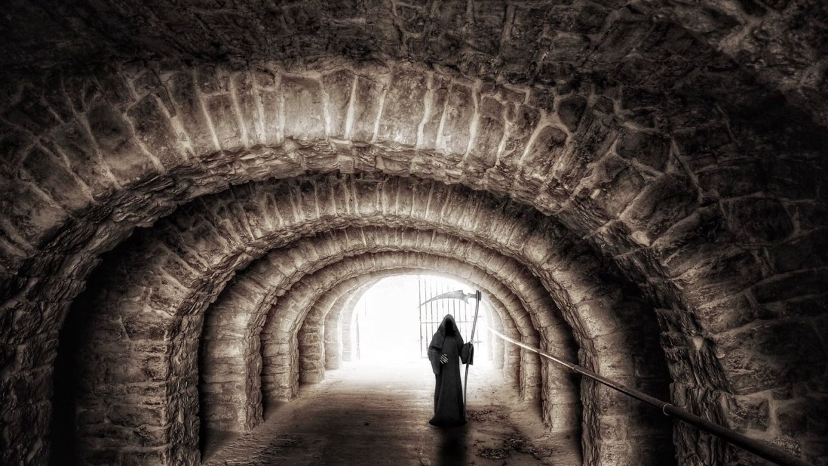 Свет после смерти