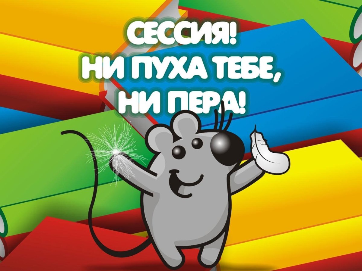 Удачи на ЕГЭ