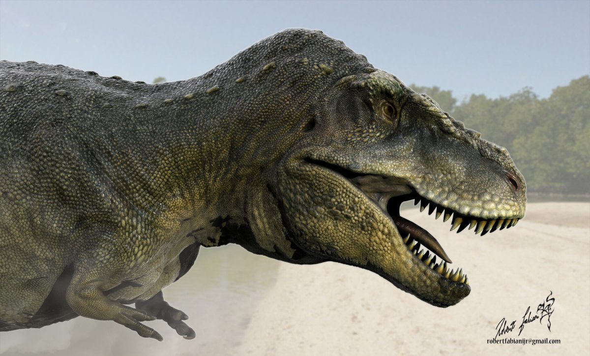 Тарбозавр 2011 Тираннозавр