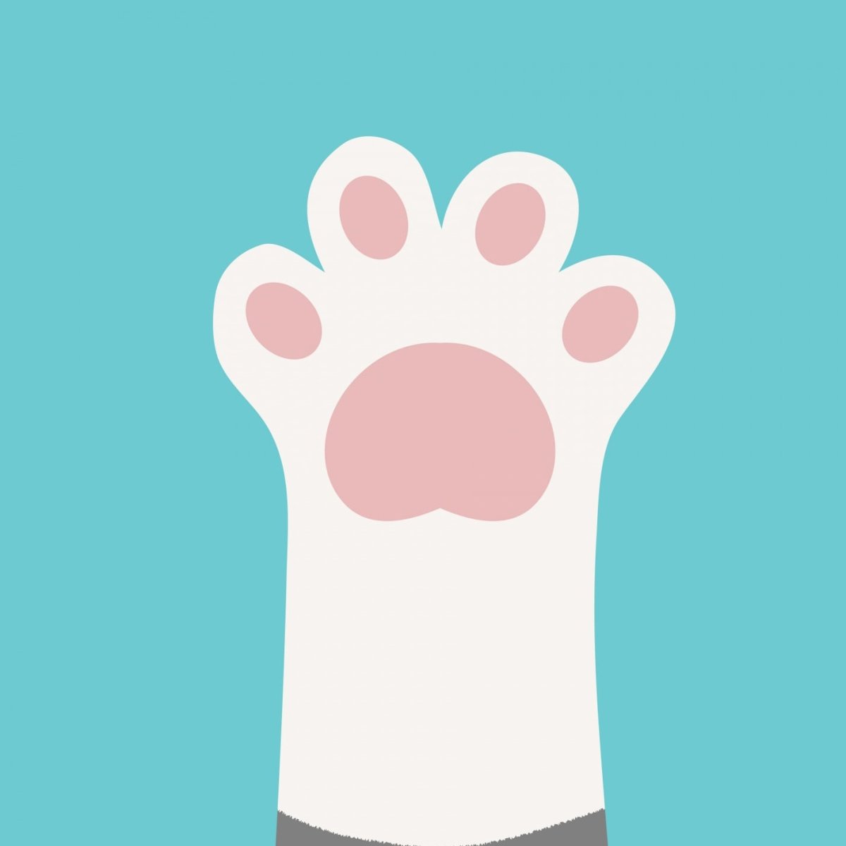 Лапки мультяшные