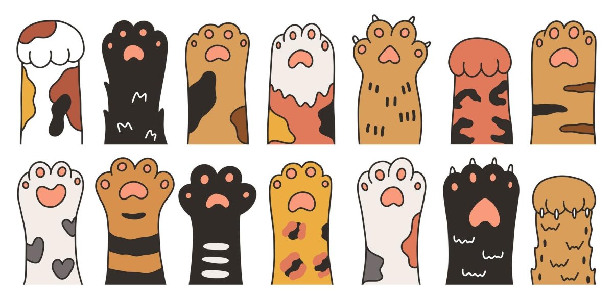 Фон с отпечатками лап