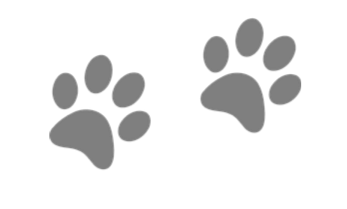 Кошачьи лапки мультяшные