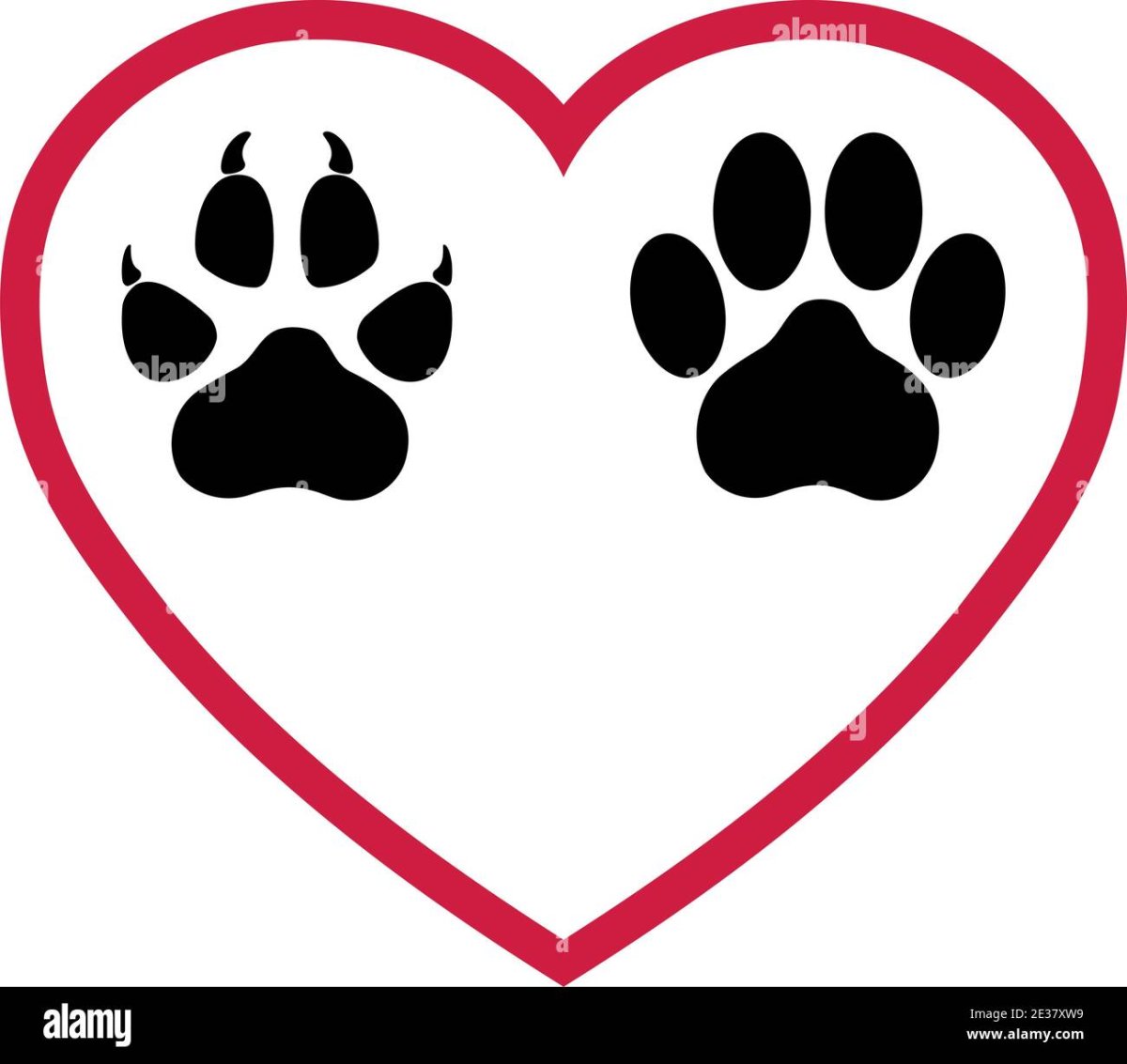 Кошачья лапа отпечаток