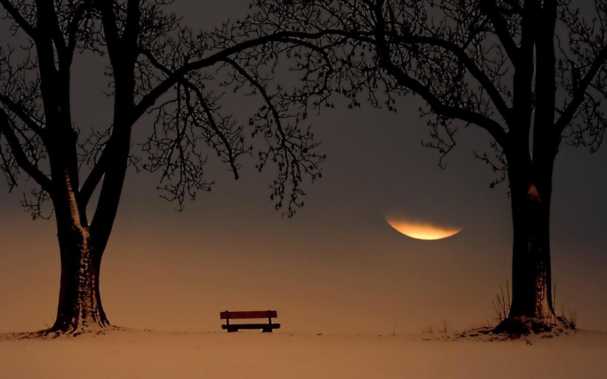 Ночная тишь