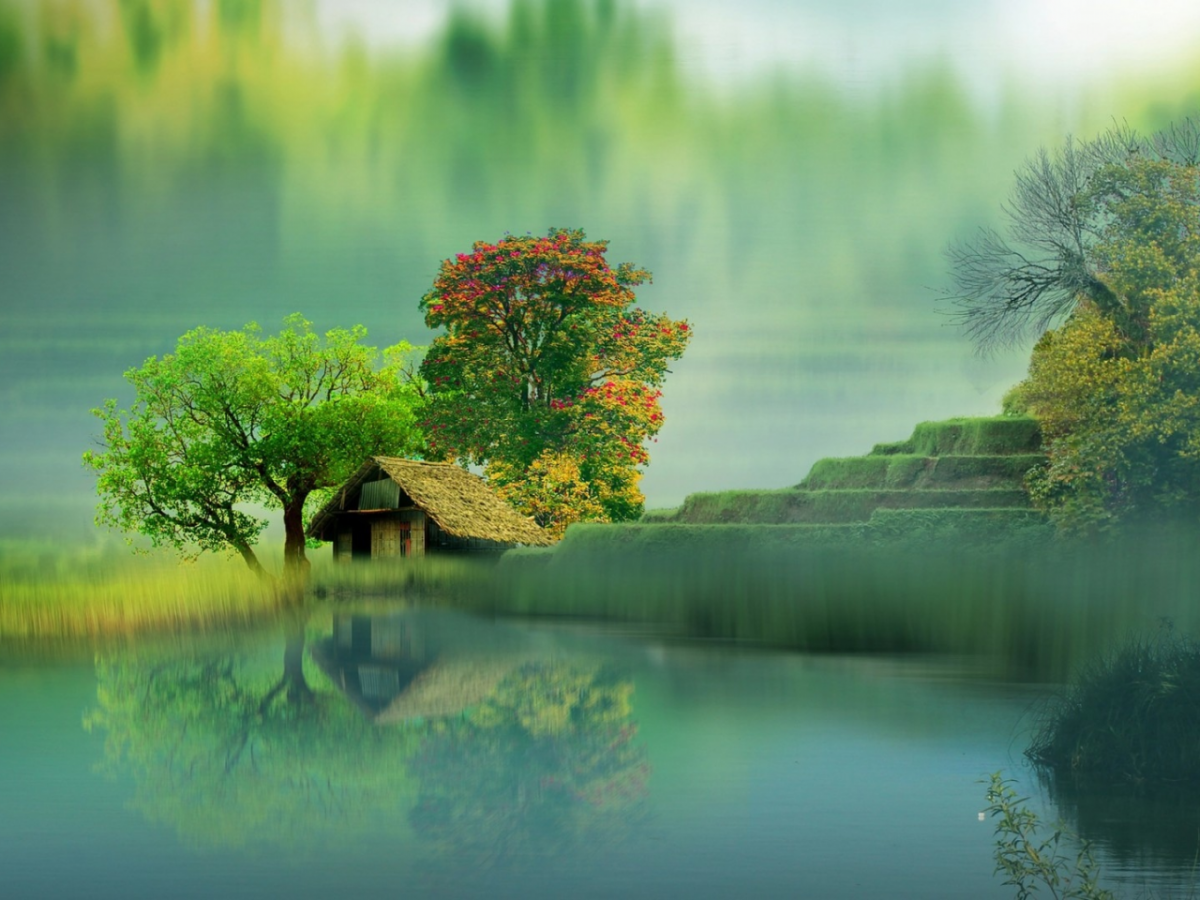 Успокаивающий пейзаж