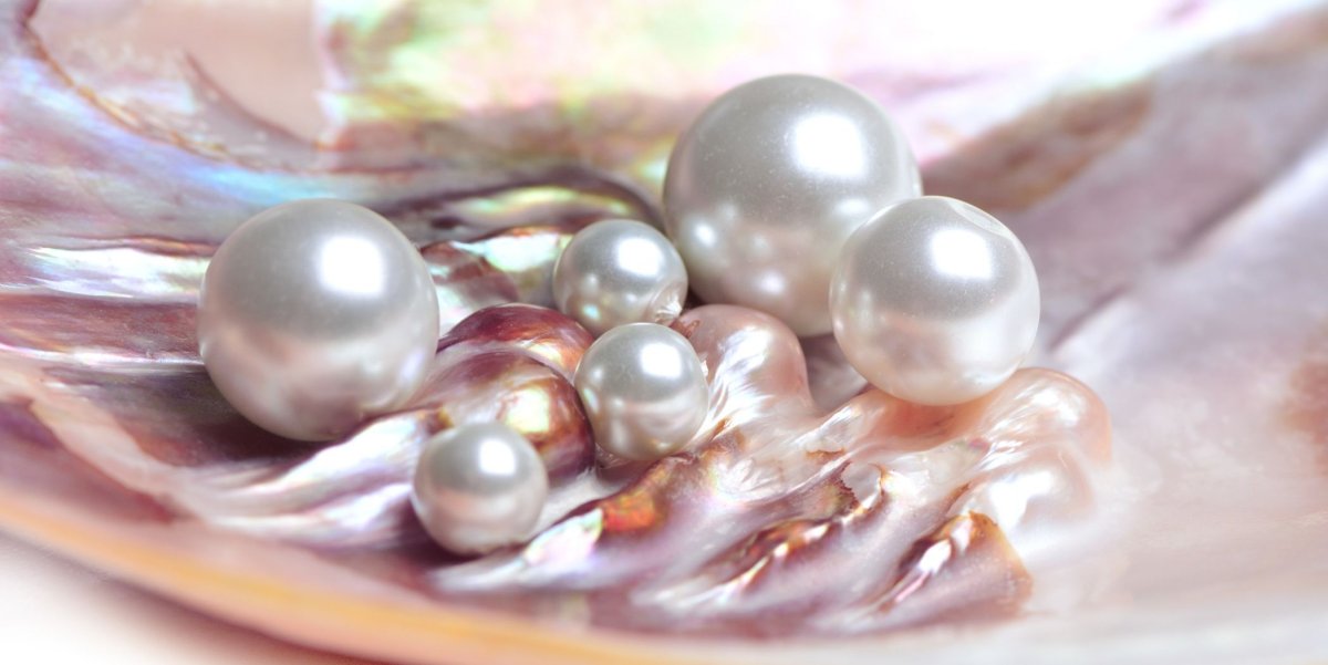 Розовый жемчуг в моллюске