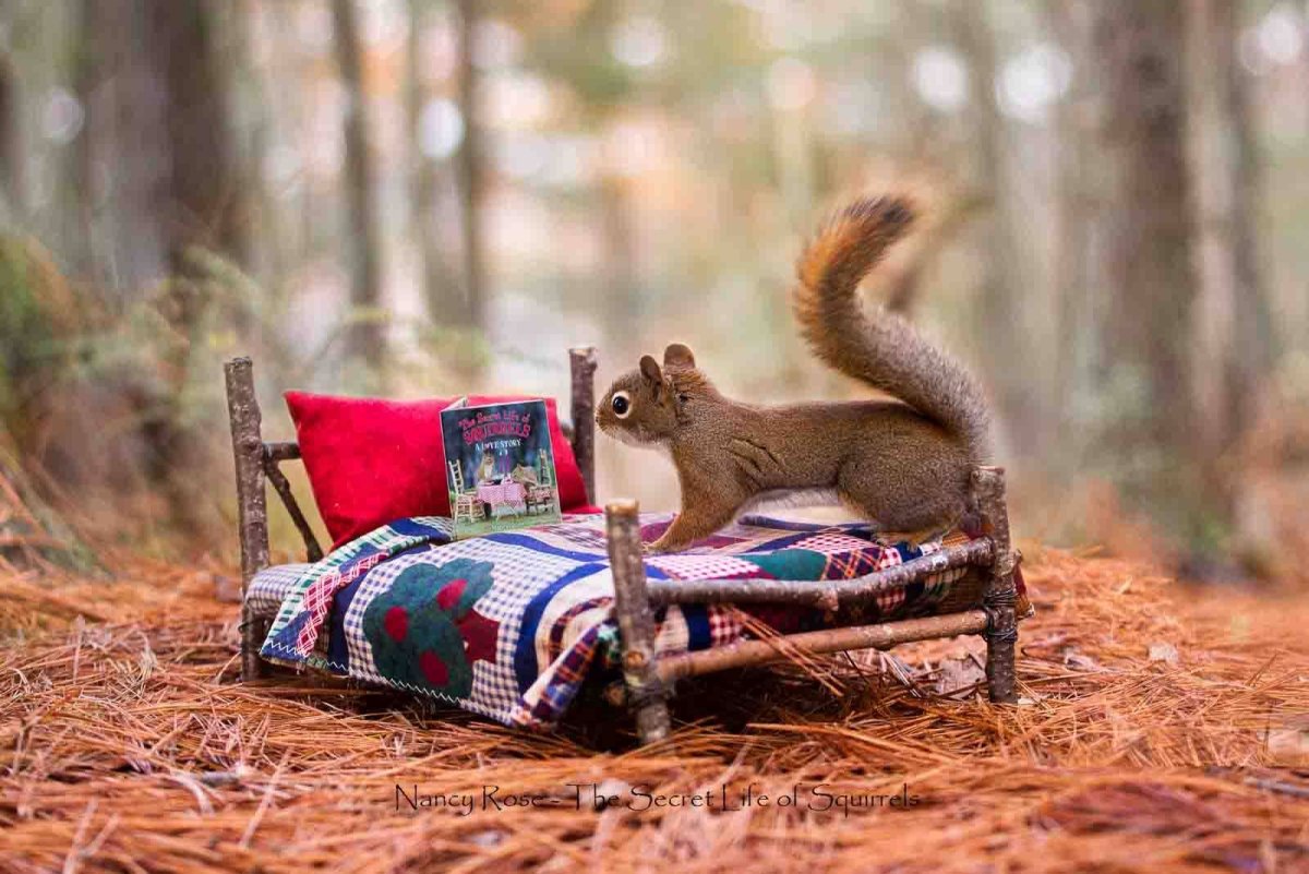 Белочка болеет