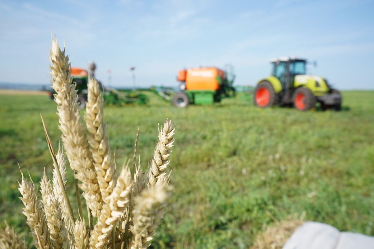 Сельское хозяйство Кузбасса