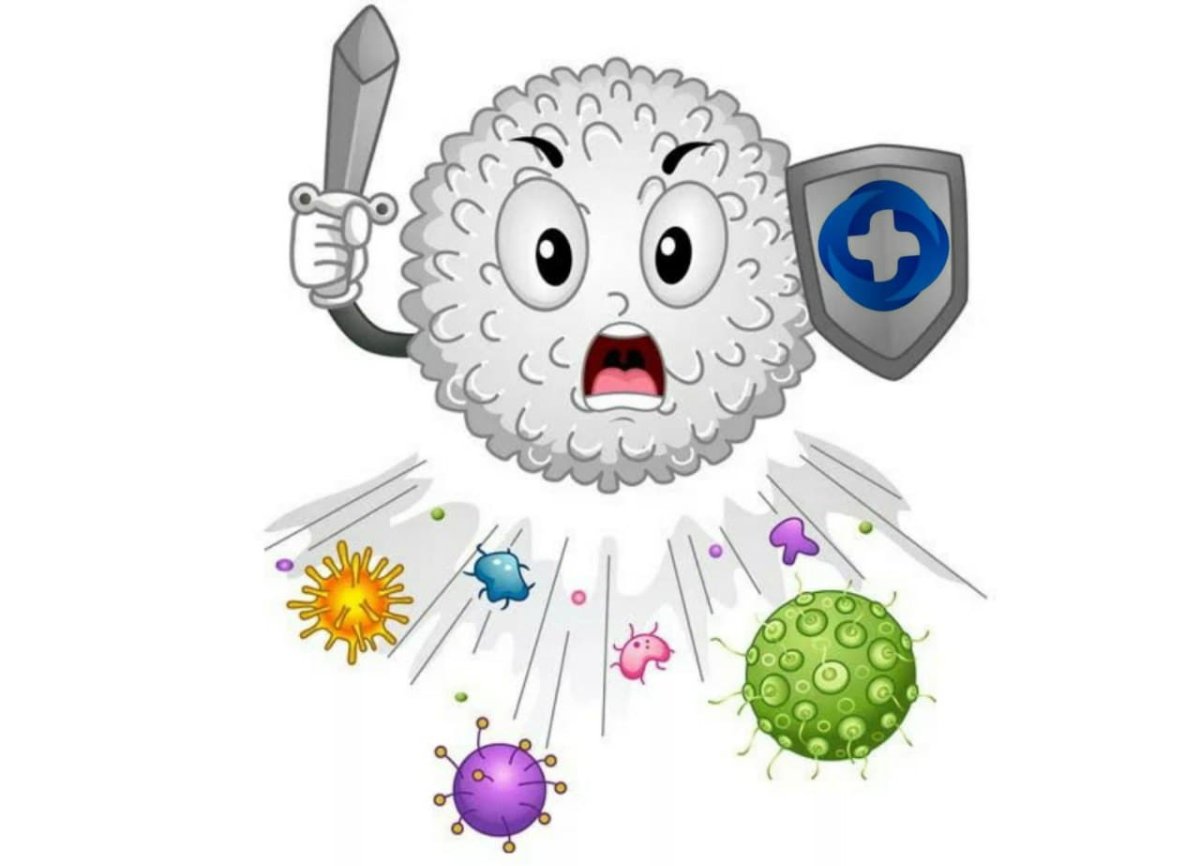 Защита организма от вирусов
