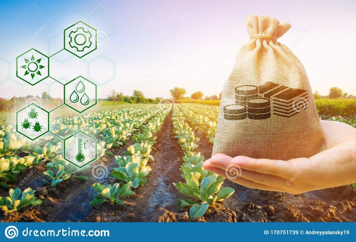 Финансирование сельского хозяйства