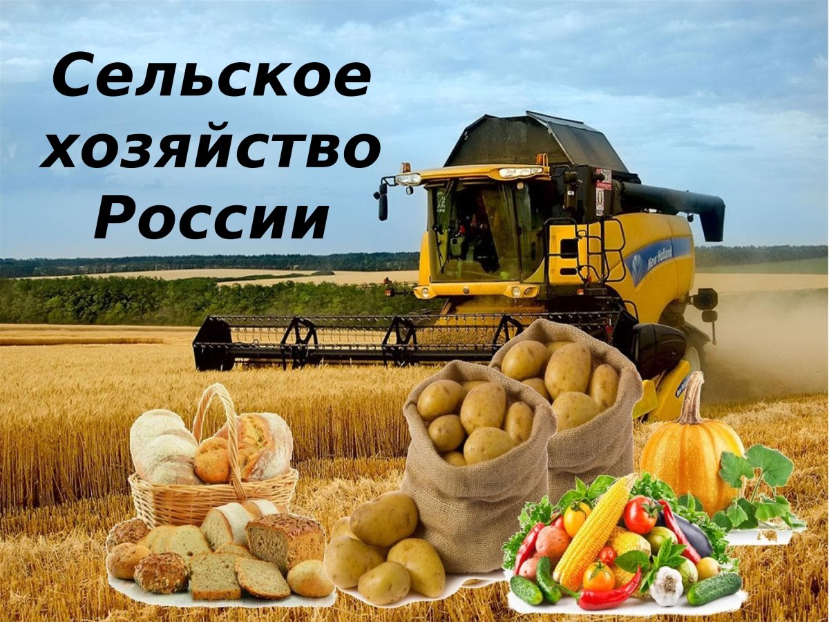 Кооперация в сельском хозяйстве Италии