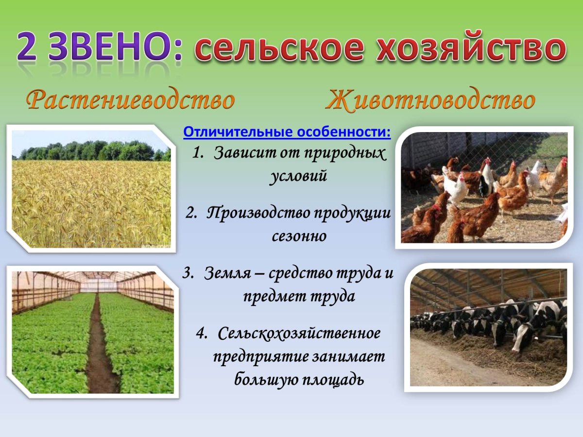 География 9 класс состав агропромышленного комплекса России