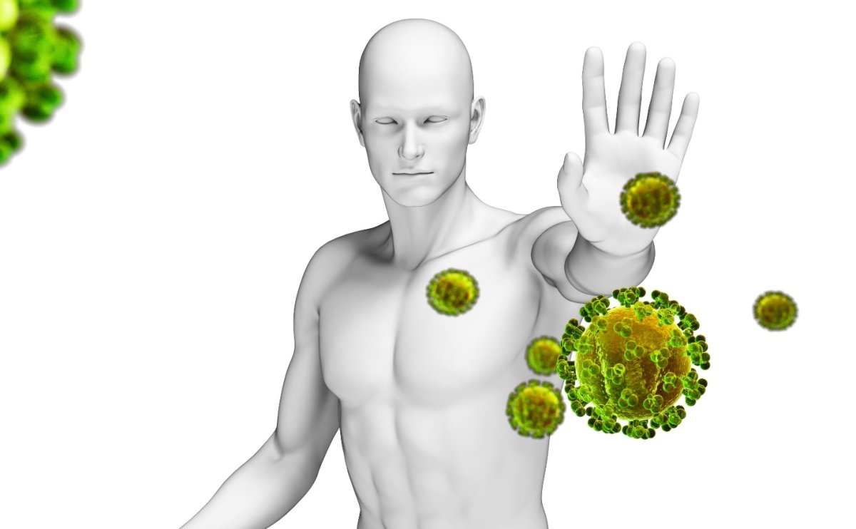 Иммунитет здорового человека
