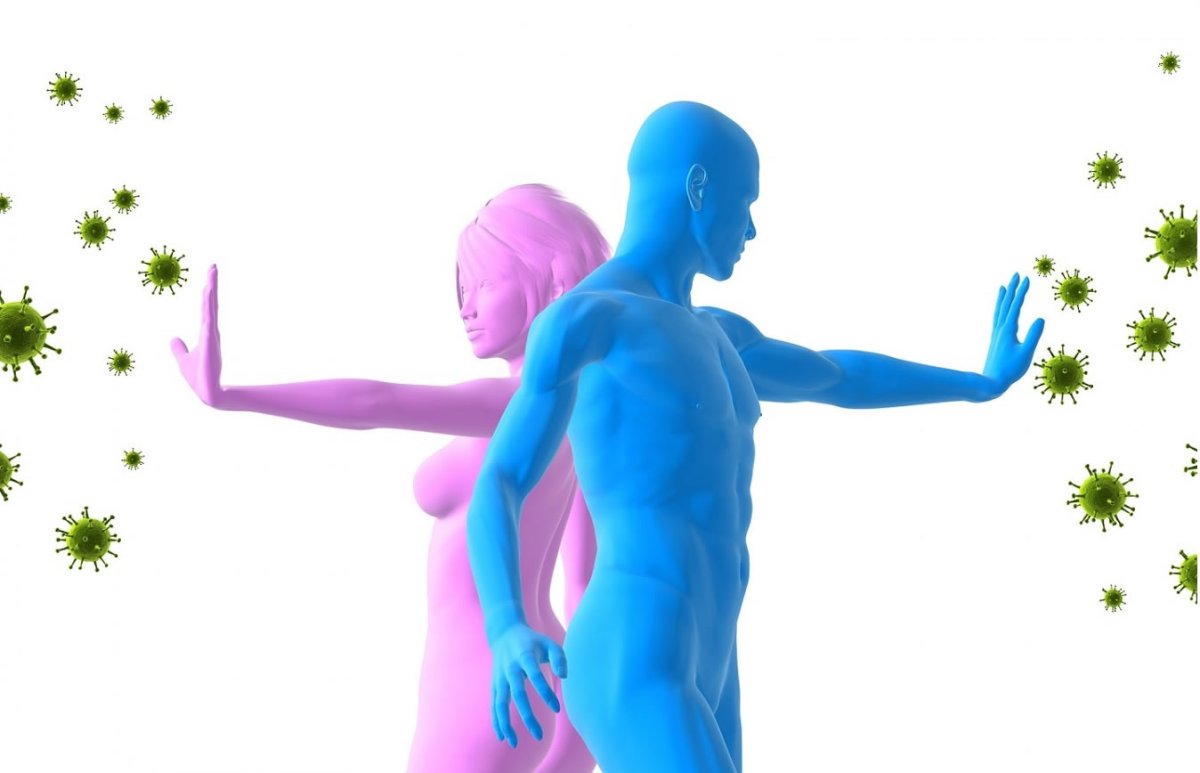 Иммунитет вектор