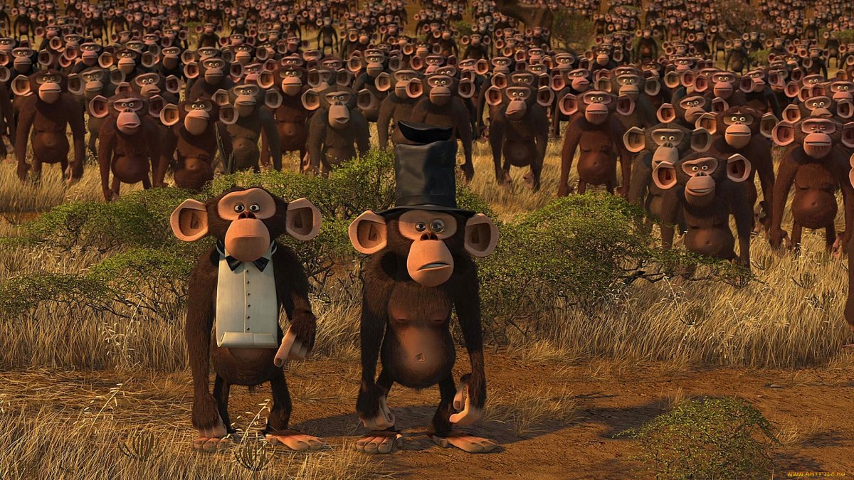 Мейсон Мадагаскар