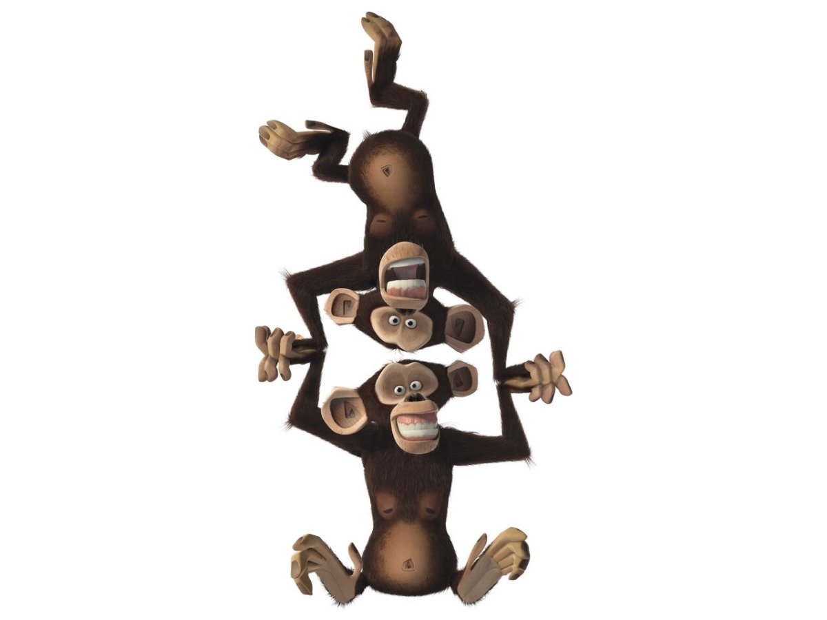 Мейсон Мадагаскар