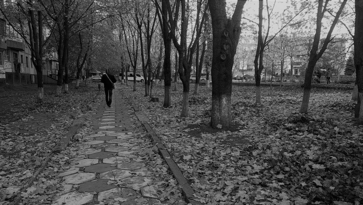 Черно белая осень