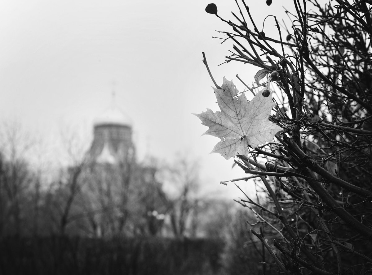 Осень в черно белых тонах