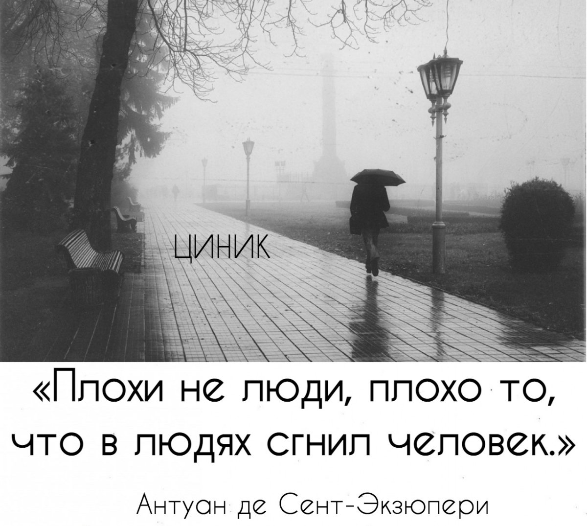 Черно белая осень