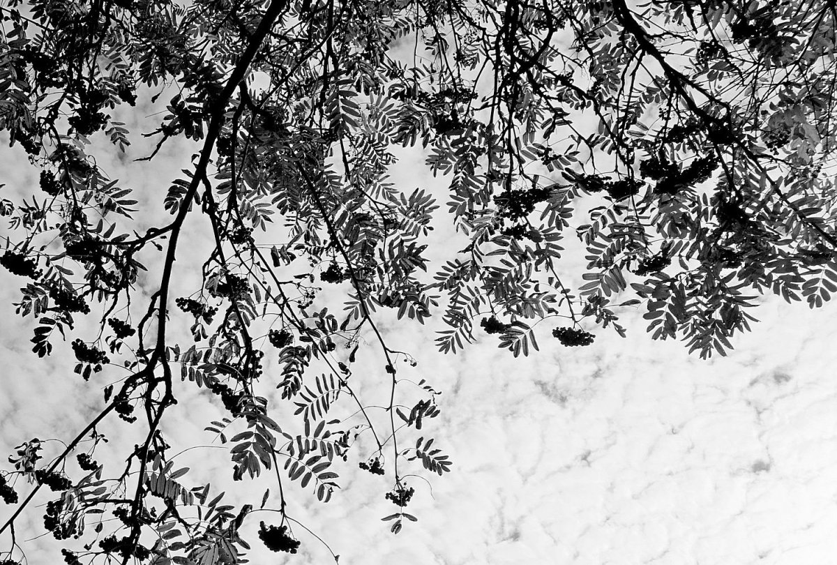 Парень - осень Эстетика