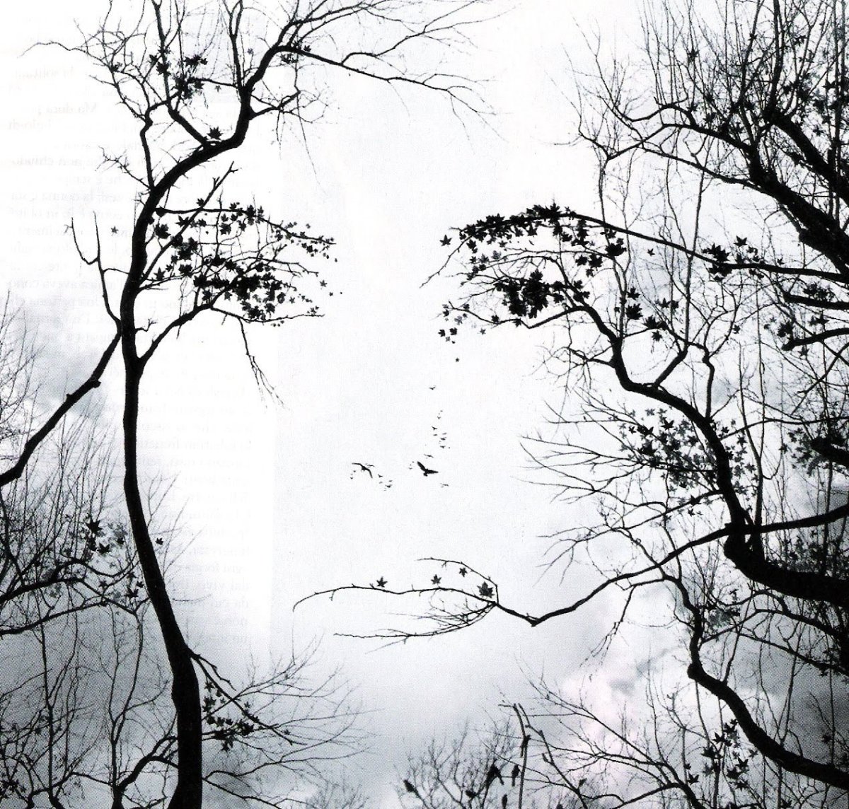 Рисунок осень черно белый