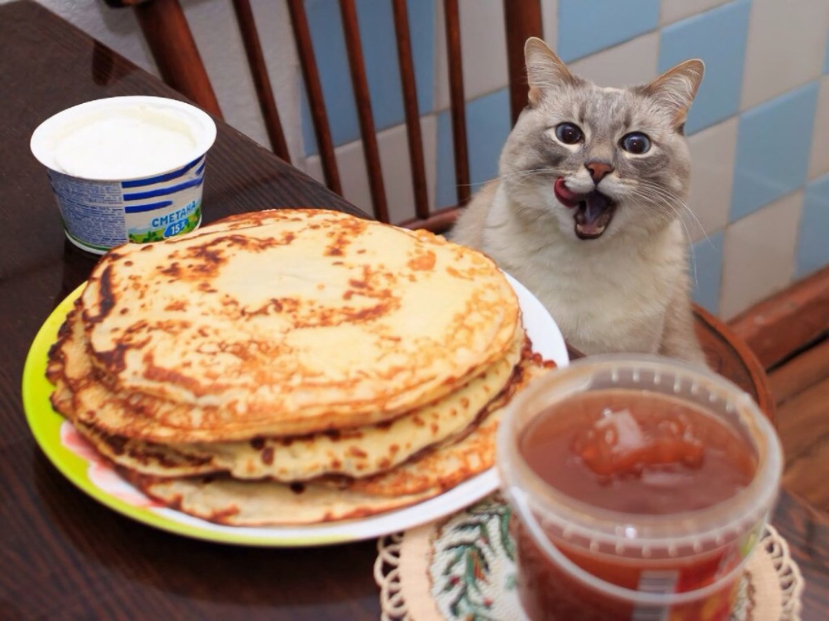 "Все коту Масленица" Позднякова м.