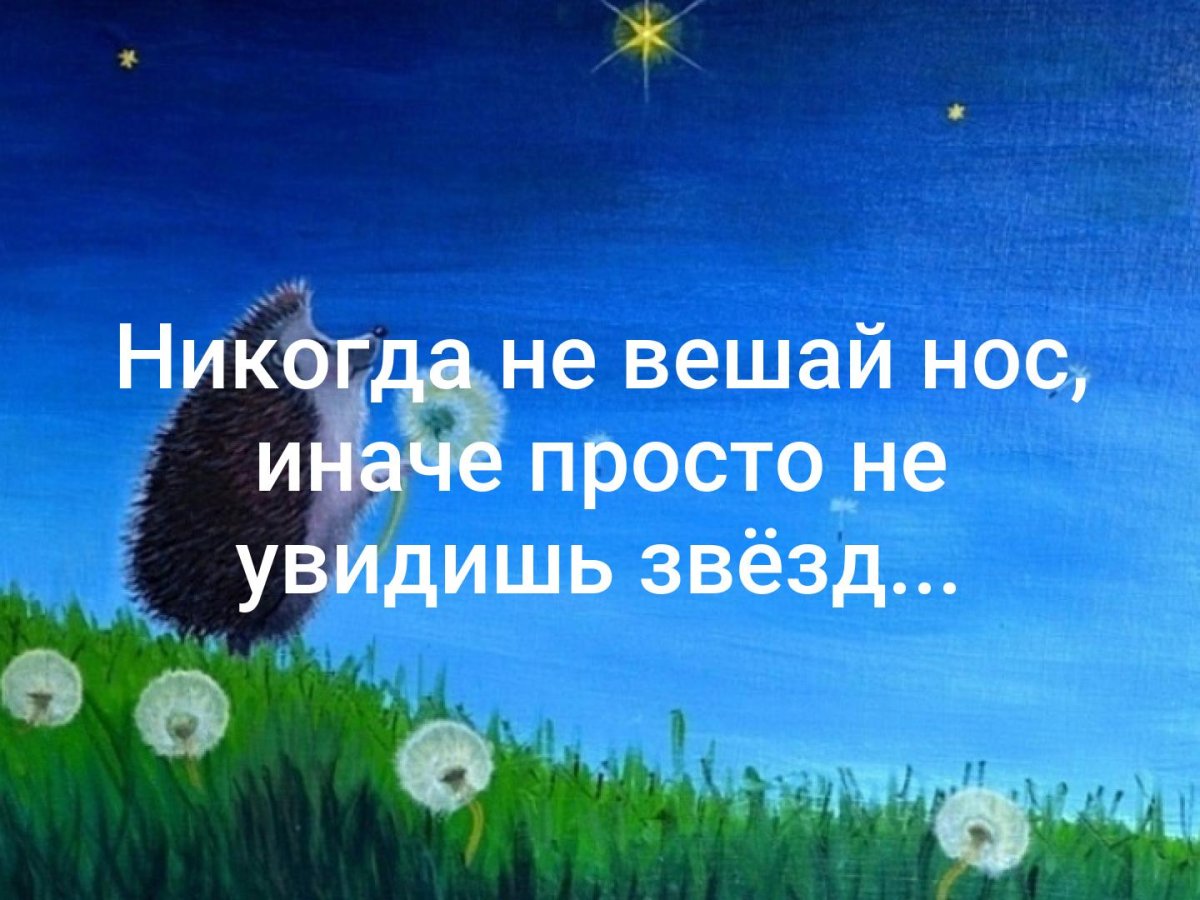 Никогда не вешай нос иначе не увидишь звезды