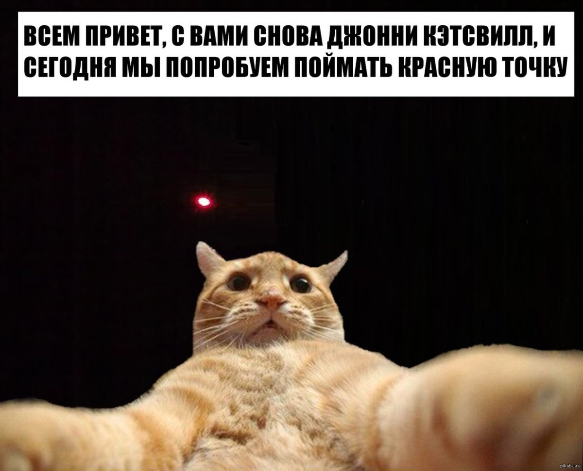 Джонни Кэтсвилл и Билли ДОГХАУС