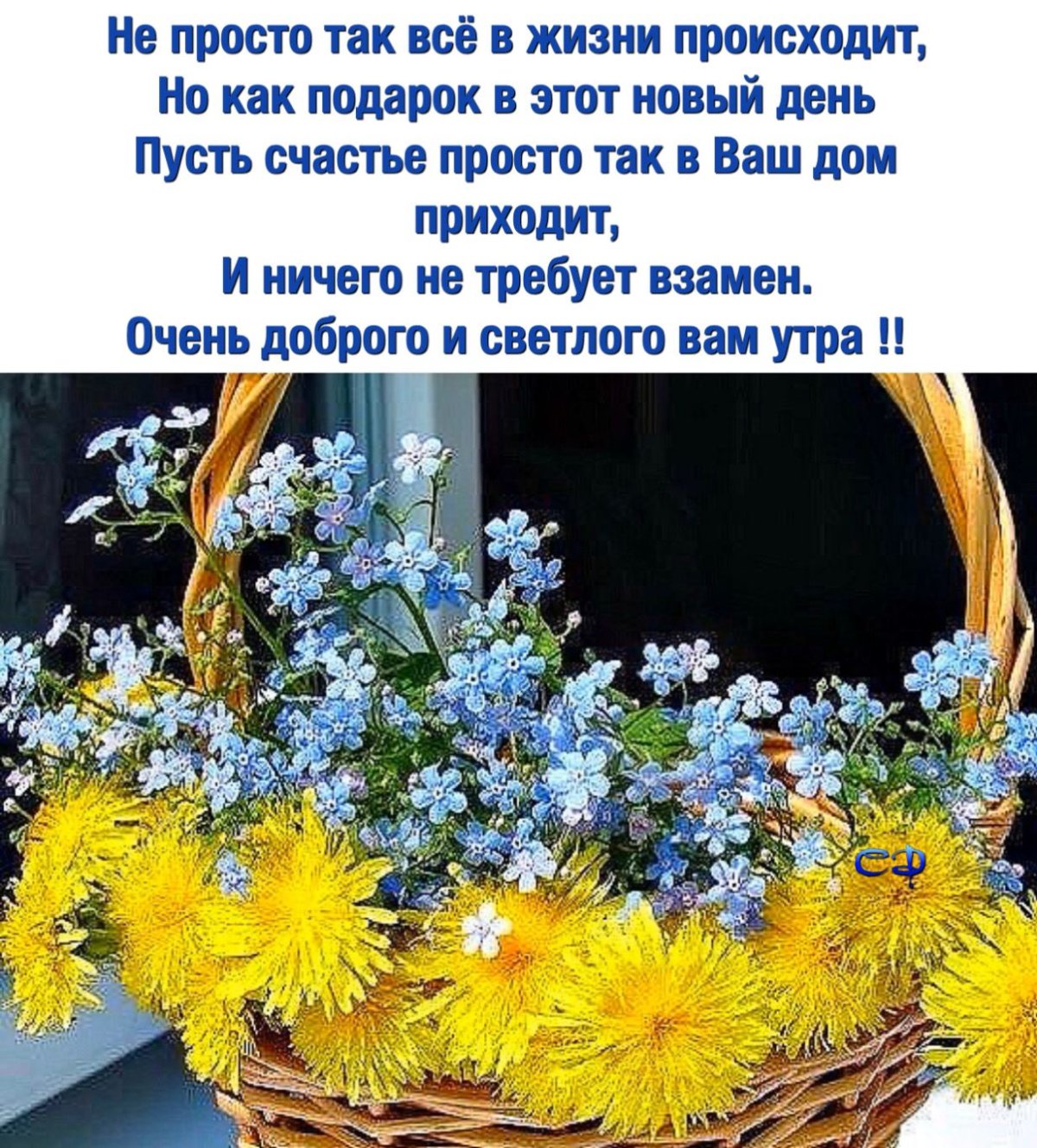 Здравствуй утро и новый день