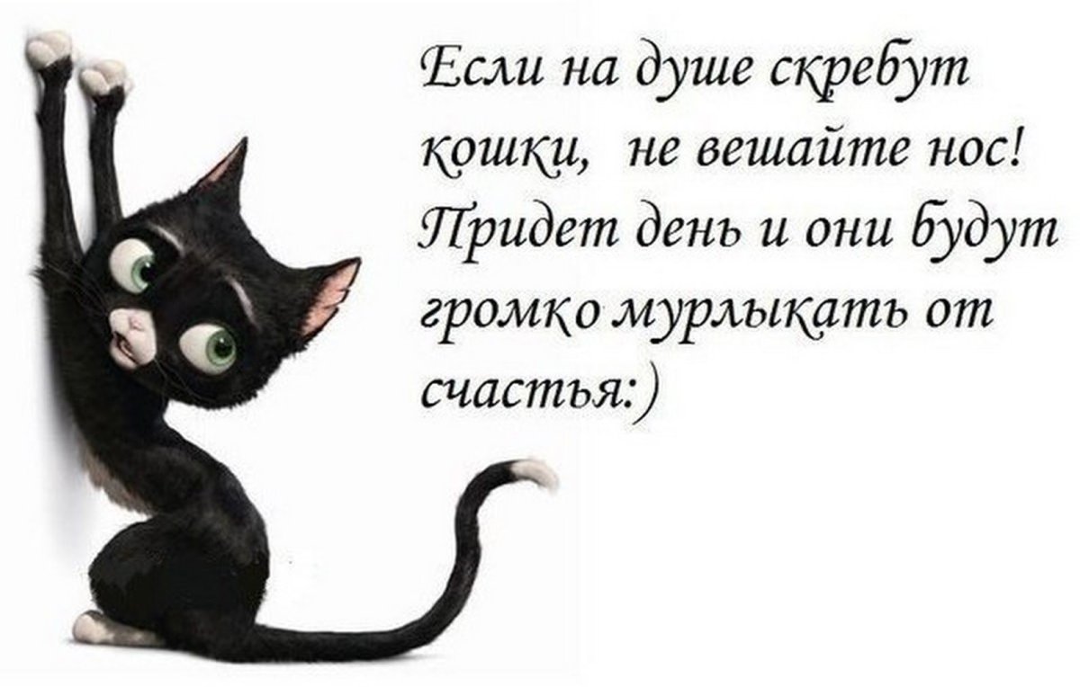 На душе кошки скребут
