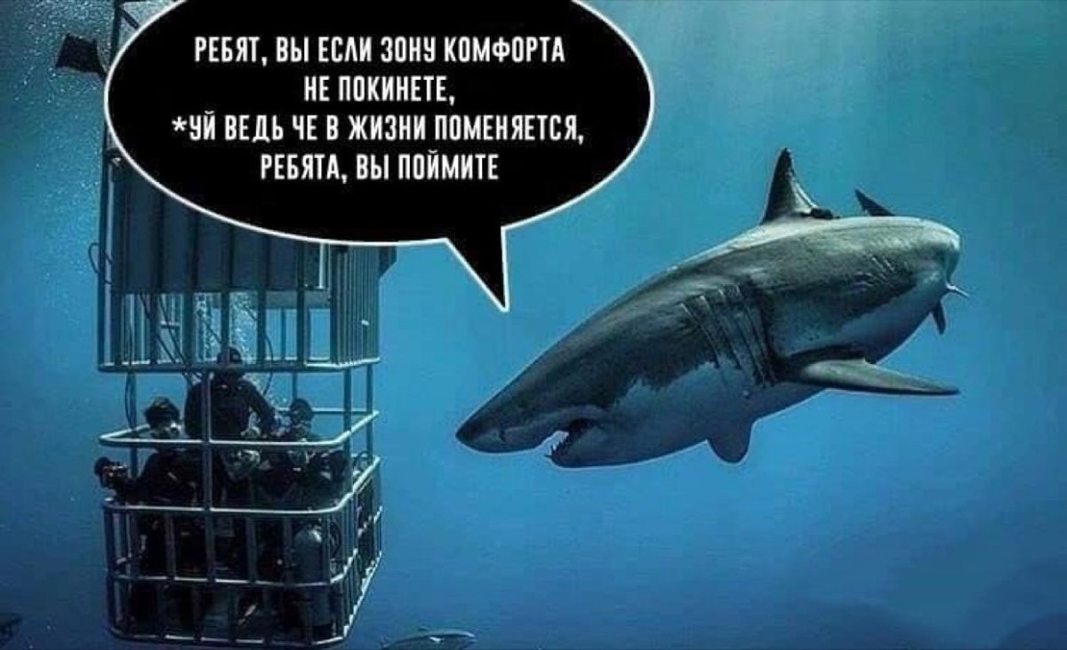 Смешные высказывания про зону комфорта