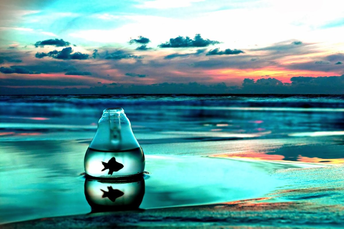 Замкнутый круг демотиватор