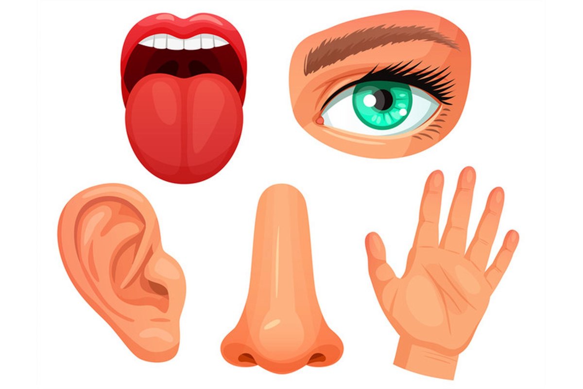 Глаза нос рот уши