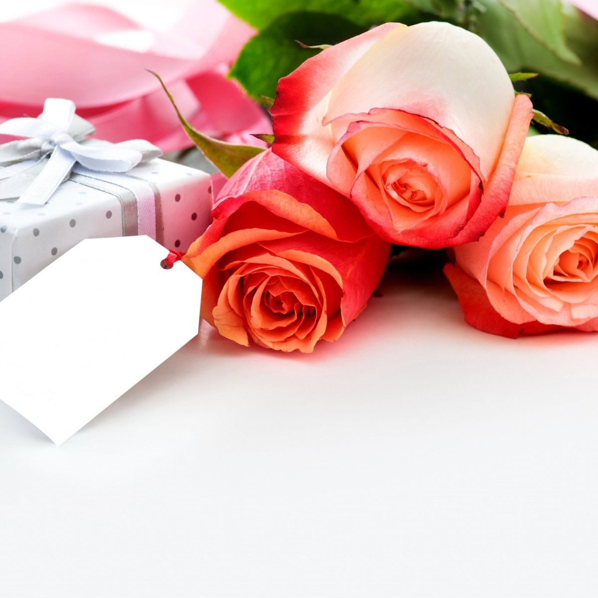 Поздравления с днём рождения женщине красивые открытки бесплатные