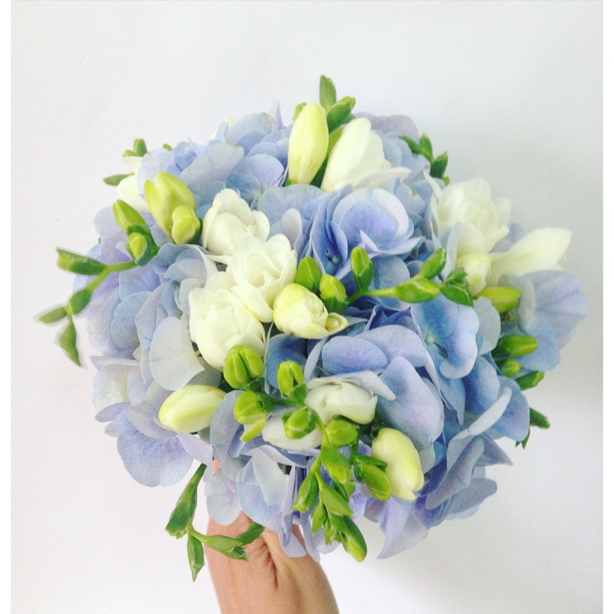 Альстромерия лизиантус фрезия