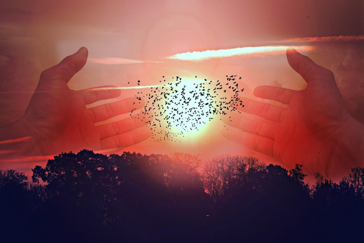 Солнце на ладони