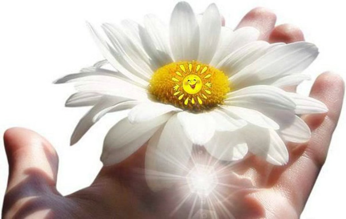 Солнце в руках