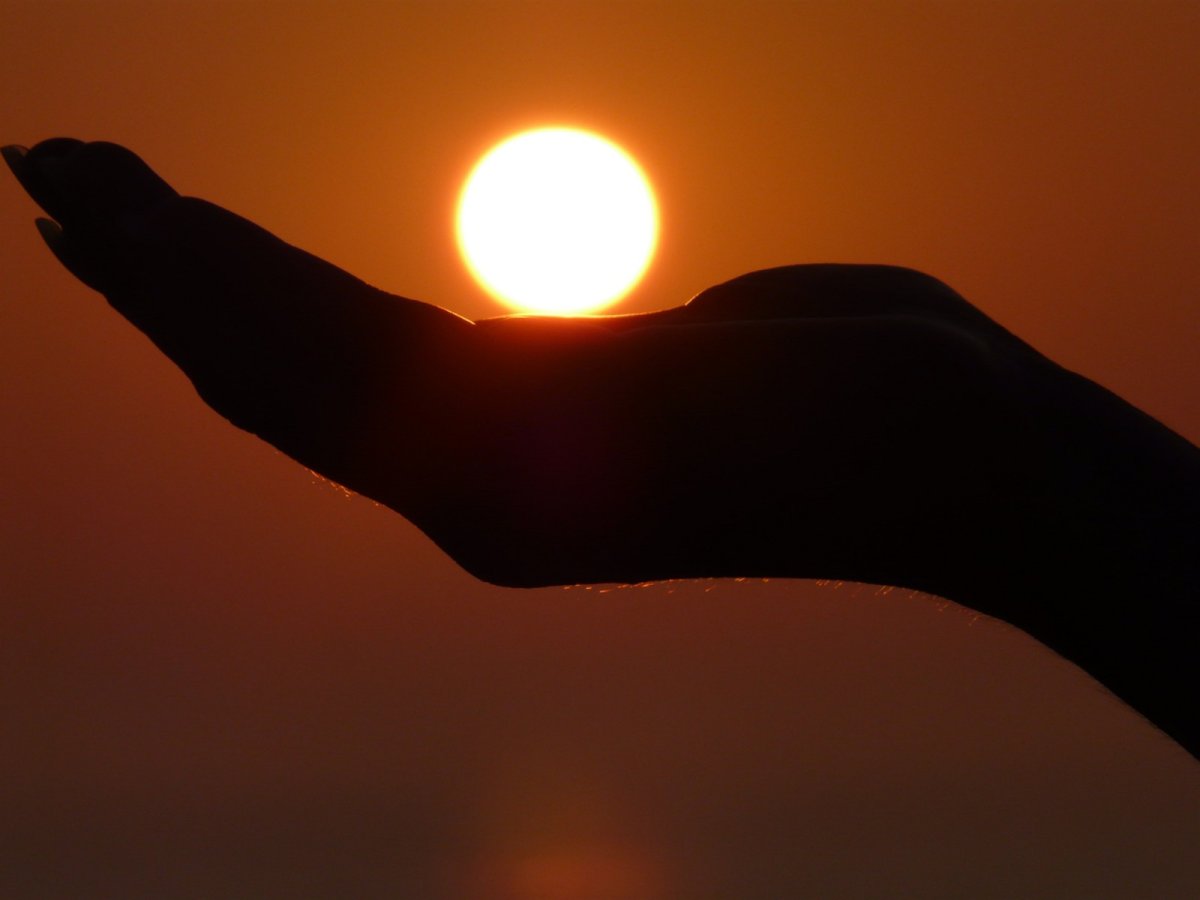 Солнце в ладошках