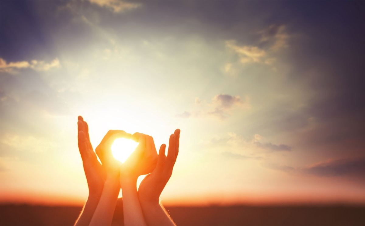 Дарина Резник