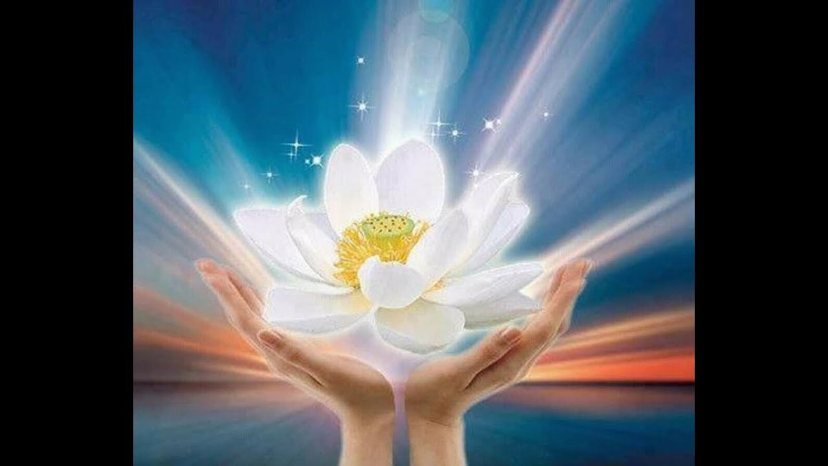 Солнце на ладони