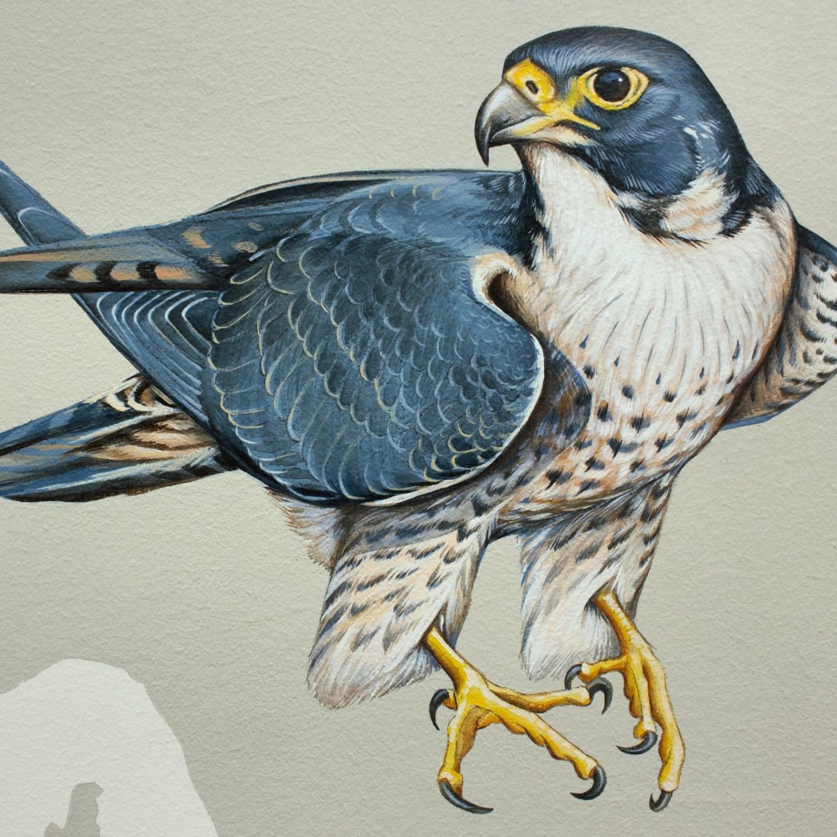 АК Шумкар логотип