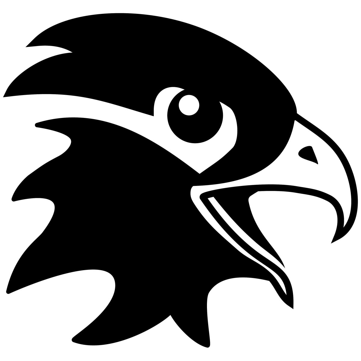 Сапсан птица на белом фоне