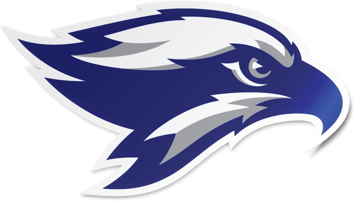 Сапсан в полете рисунок