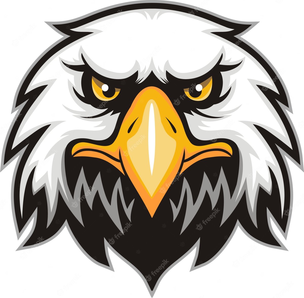 Голова ястреба вектор