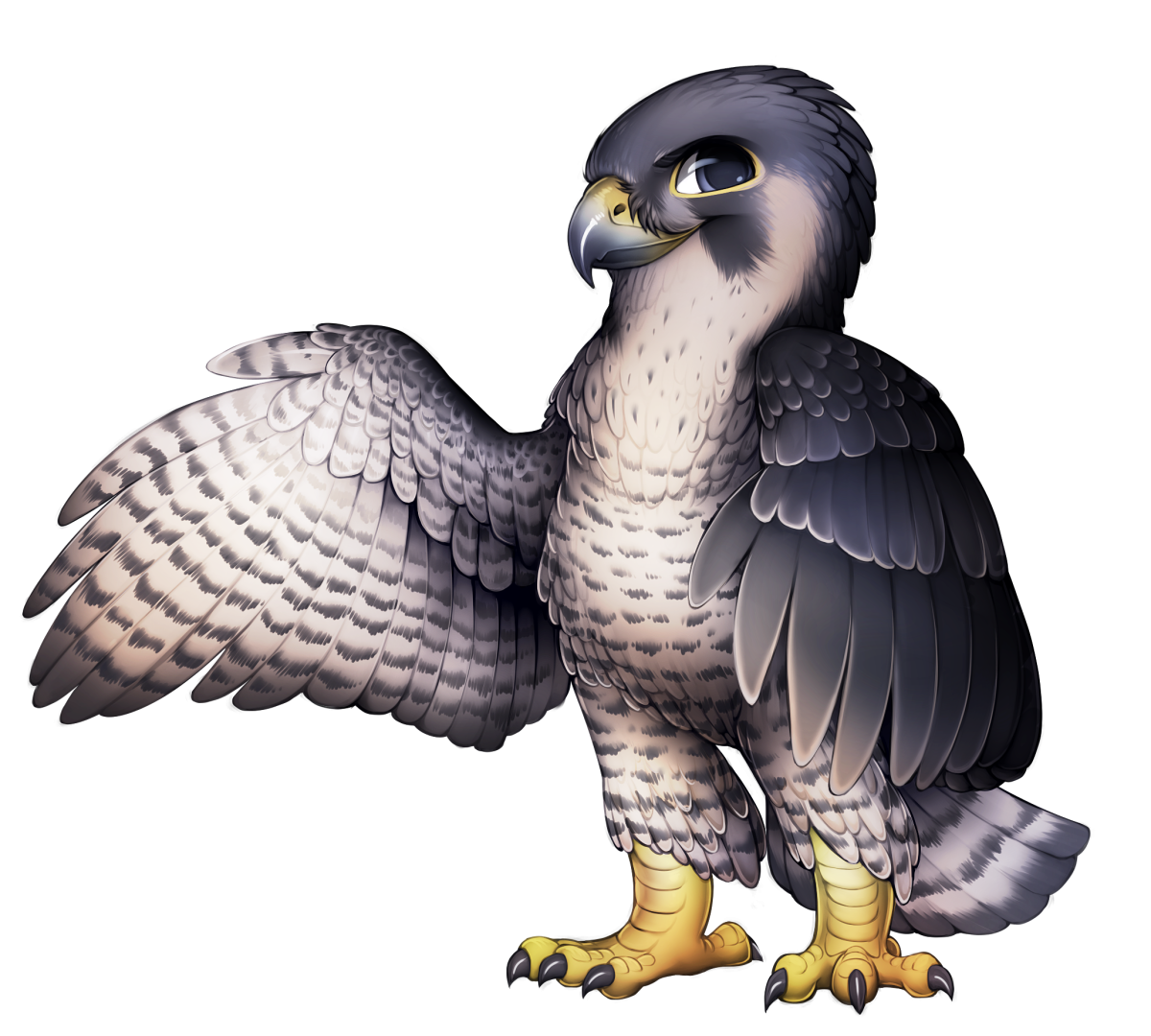 Falco Сокол птица вектор